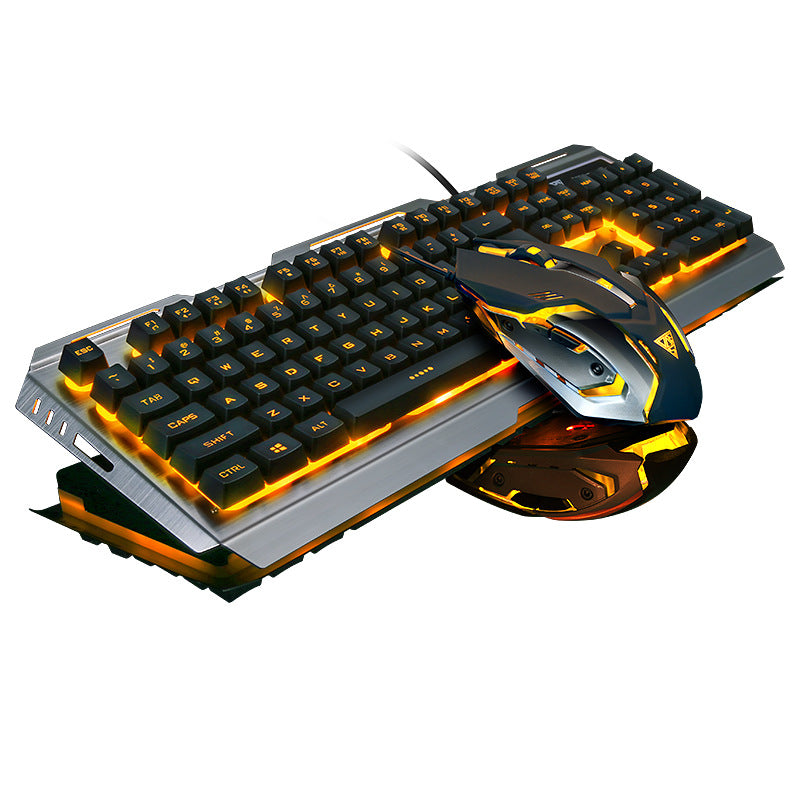 831504799-3